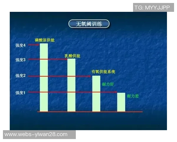 南京羽毛球队战术分析与发展策略探讨助力竞技水平提升 南京羽毛球队战术分析与发展策略探讨助力竞技水平提升