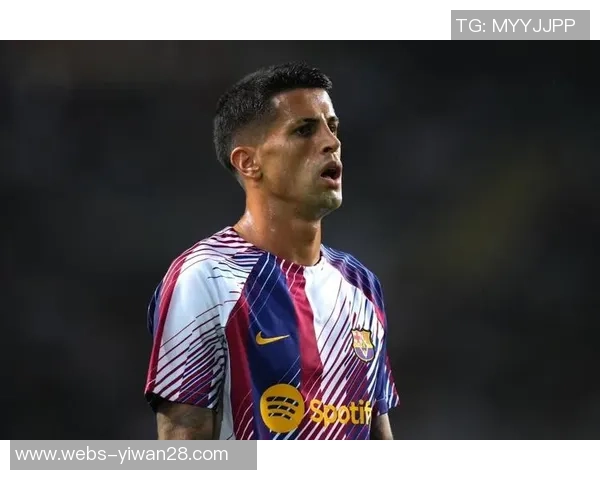 坎塞洛在足球场上的辉煌历程与未来发展潜力分析